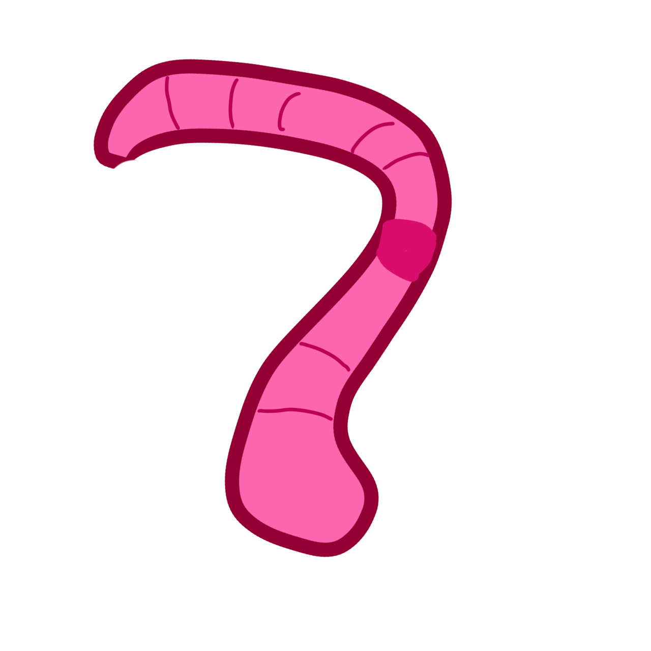 a pink earthworm with a darker pink saddle in the middle of its body. it has dark pink bands and no face